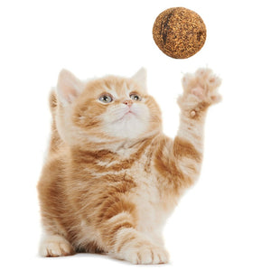 Cat Natural Treat Ball