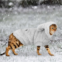 Load image into Gallery viewer, Warm Cat Clothes