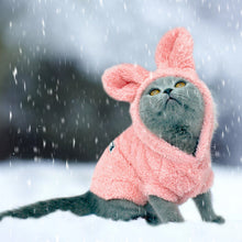 Load image into Gallery viewer, Warm Cat Clothes