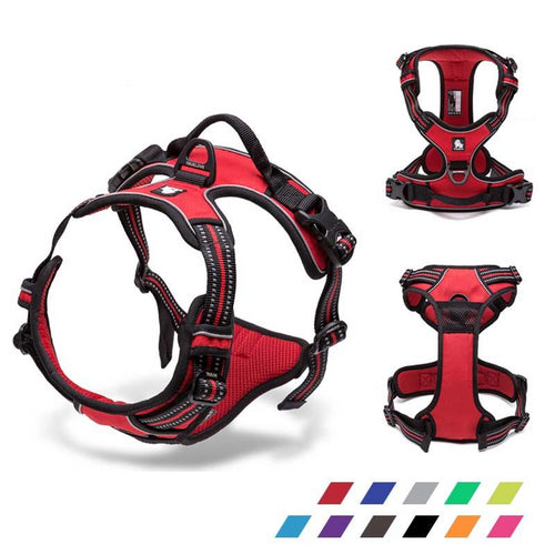 Large No Pull Dog Harness