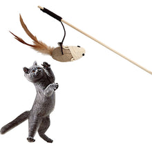 Load image into Gallery viewer, Funny Cat Toy